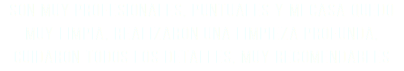 Son muy profesionales, puntuales y mi casa quedo muy limpia, realizaron una limpieza profunda, cuidaron todos los detalles, muy recomendables